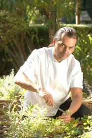 FABRICE MARTIN FABRICE MARTIN