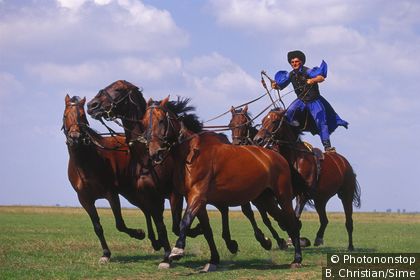 Equestrian feat