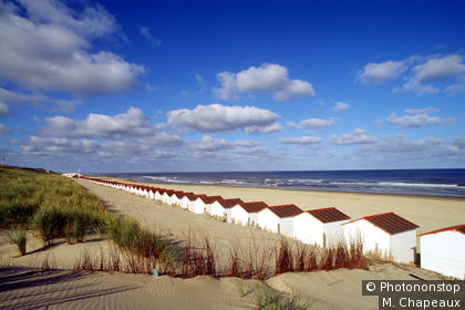 Insel Texel, Strand in De Koog