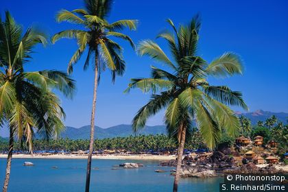 Der Strand von Goa