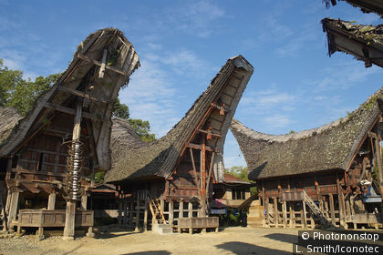 Dorf Palawa, Toraja-Häuser