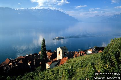 Vaud, Lac de Genève, Vignoble St-Saphorin