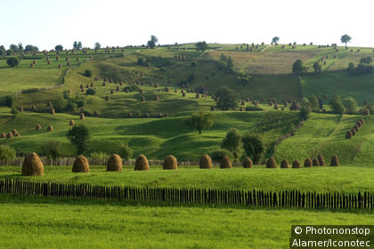 Landschaft in Bukowina