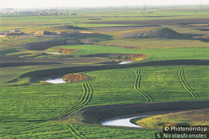 Djagh Djagh River in the Jesireh region