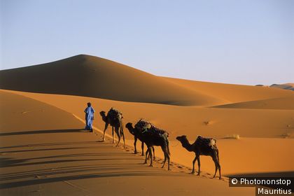 Caravanne dans les dunes de l'Erg Chebbi