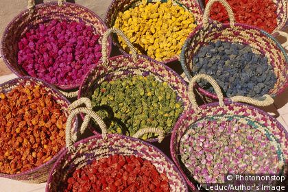 Fleurs séchées