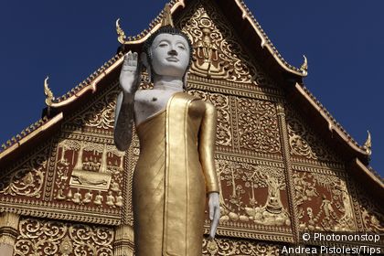 Laos, Vientiane, Pha That Luang Buddhist Stupa Temple, Statue