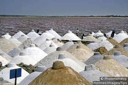 Salt extraction on Pink Lake, Senegal