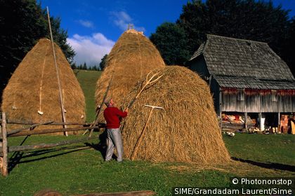 Montenegro/Durmitor. Durmitor mountains, haystacks
