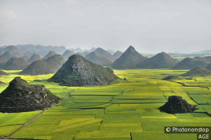 Fields in Yunnan province