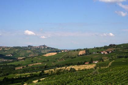 Oltrepo Pavese
