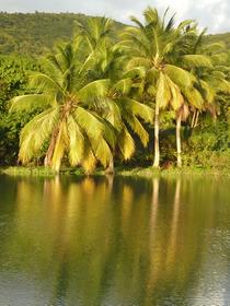Pointe Noire