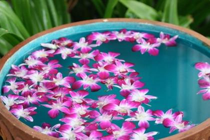 Floating orchids