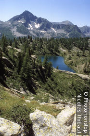 Parc National du Mercantour (secteur du Boréon)