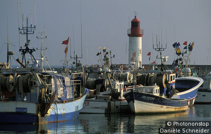 Ile d'oléron, port de pêche de la Cotinière, bateaux amarrés, phare