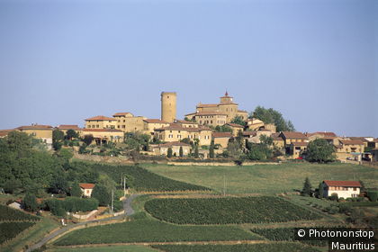 Frankreich, Region Rhone-Alpes, Beaujolais, Oingt, Ortsansicht Europa, Ortschaft, Häuser, Gebäude, Architektur, Burg, Landschaft, Felder, Weinanbau, Rebland, Landwirtschaft, Anbau, Wein, Weinregion