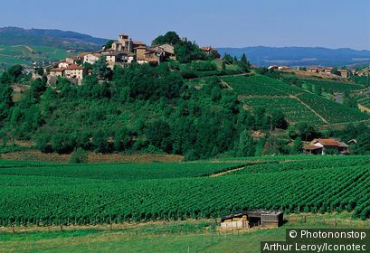France, Rhône (69), Rhône Alpes, Ternand. Vigne et village