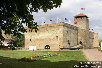 Europe, Hungary, Gyula castle