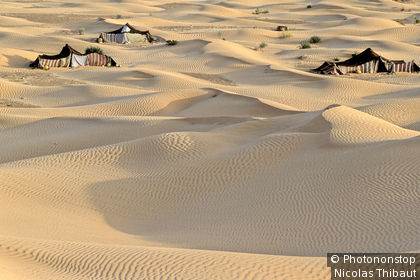 Tunisie, gouvernorat de Kébili, region du Nefzaoua, campement nomade sur les dunes de Jebil (region de Douz)