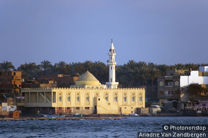 Mosque at delta of Nile river.