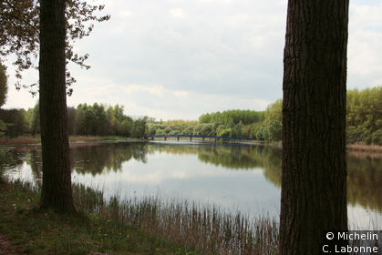 Le Biesbosch