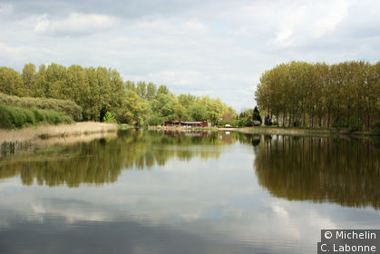 Le Biesbosch