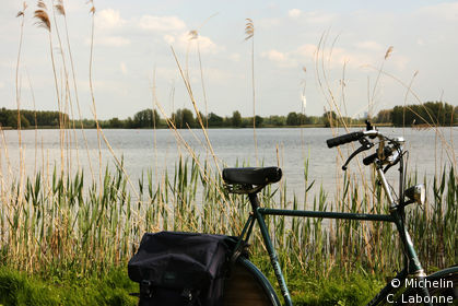 Le Biesbosch