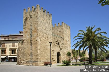 Majorca, Alcudia