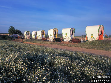 Romeria del Rocio