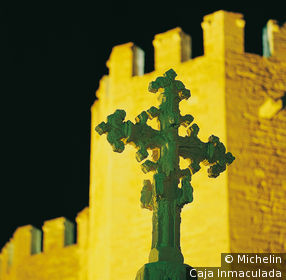 Morella