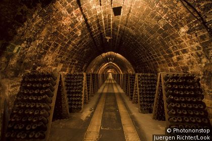 Codorniu, cava cellars, Sant Sadurni d Anoia, near Barcelona, Spain