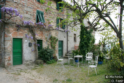 Collodi