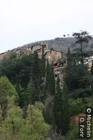Collodi