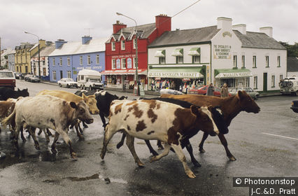 Irlande, comté de Kerry, péninsule d'Iveragh,