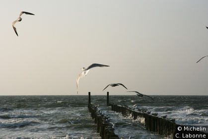 Domburg