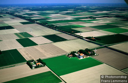 Netherlands, Flevoland, Lelystad, Aerial of rural fields.