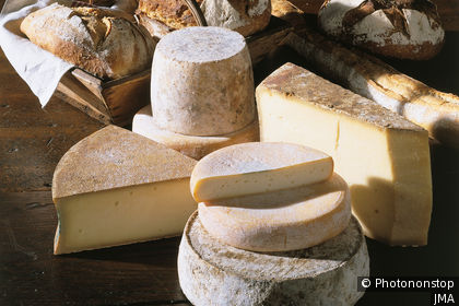 Einige Alpenkäse: Tomme, Beaufort, Reblochon, Abondance