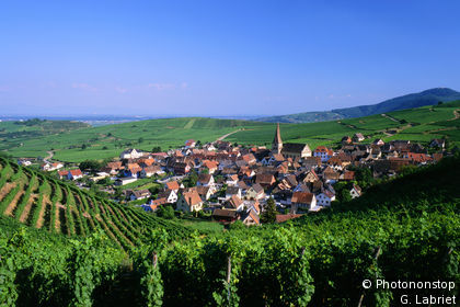 Niedermorschwihr, Dorf mit Weinbergen