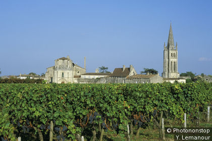 St-Emilion, vue générale depuis les vignes verdoyantes