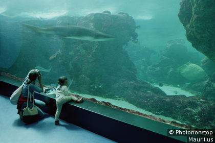 Acuario de Océanopolis