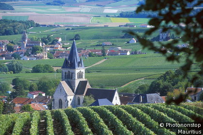 Montagne de Reims, Ville-Dommange