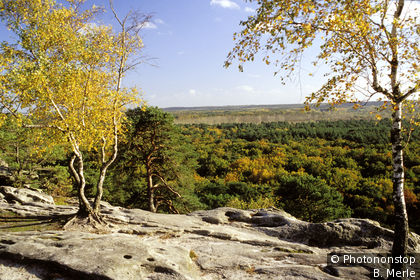 Forêt de Fontainebleau en automne, panorama des rochers de Dame Jouanne