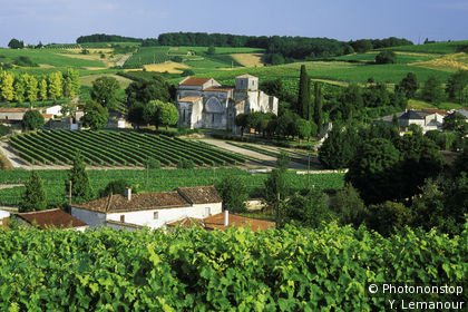 Castello di Bouteville tra i vigneti di Cognac