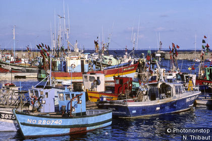 Porto peschereccio di Herbaudière sull’isola di Noirmoutier