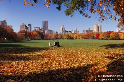 Central Parc in New-York