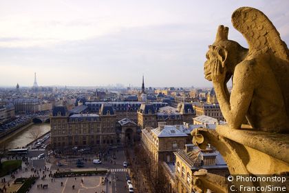 Gargouille admirant Paris