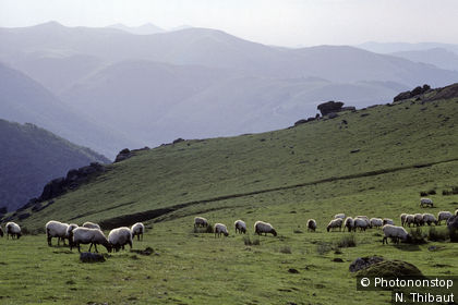 Paysage du Pays Basque dans la région de Saint-Jean-Pied de Port