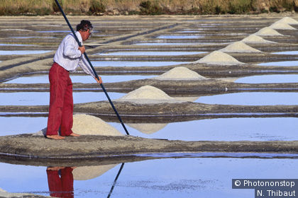 Marais salants sur l'île de Noirmoutier