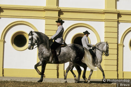 Königliche andalusische Reiterschule in Jerez de la Frontera