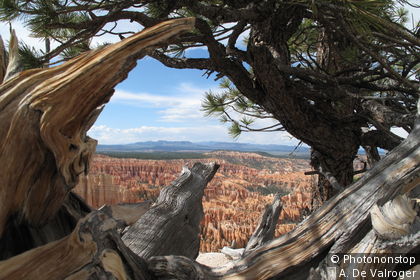 Bryce Canyon